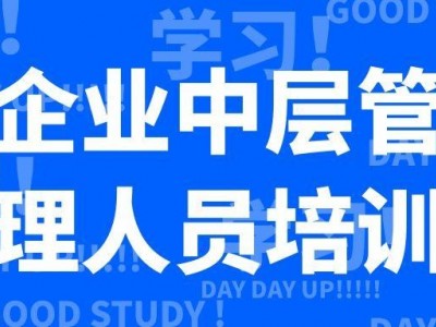 企業(yè)中層管理人員培訓專題
